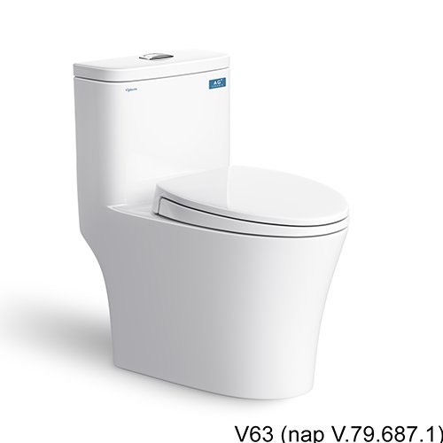 Bệt V63